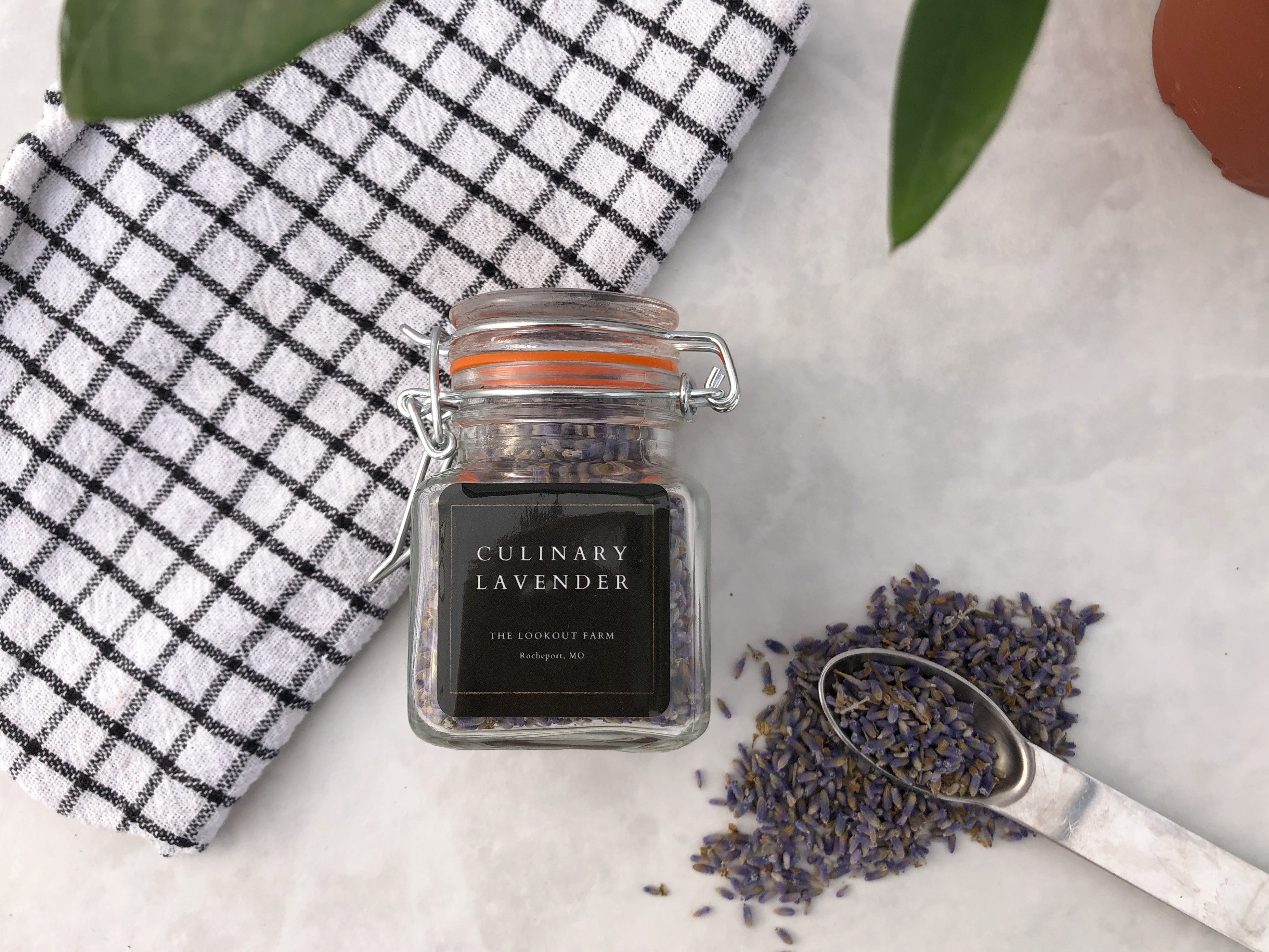 Culinary Lavender – The Lookout Farm