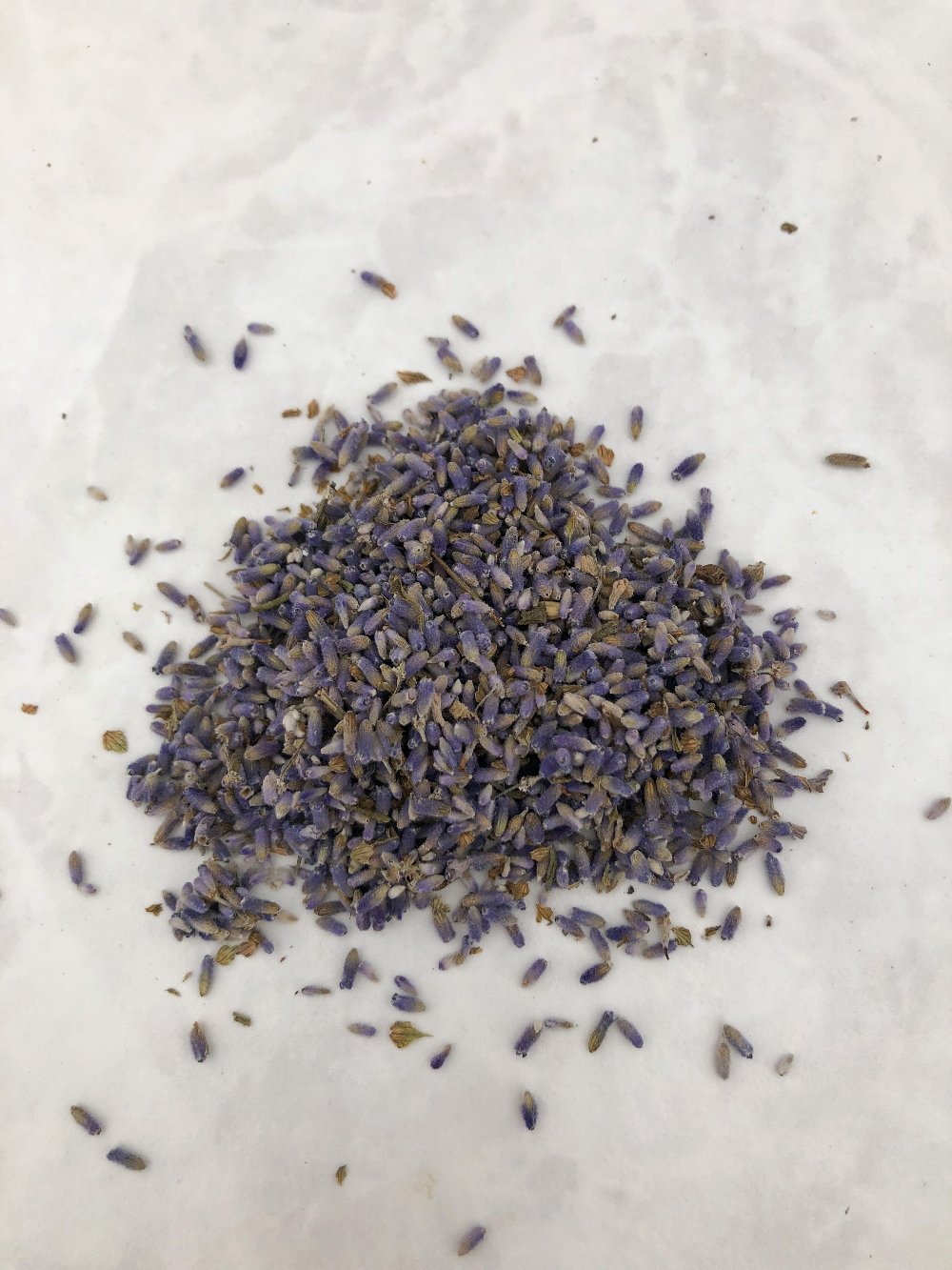 1/2 lb dried culinary lavender