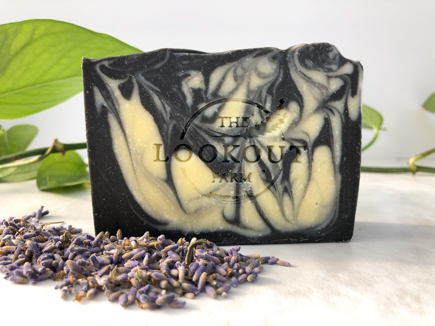 Clarify - Charcoal and Lavender Soap for Face &amp; Body