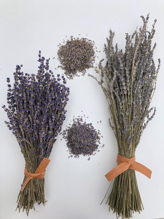 Dried Lavender Bundle